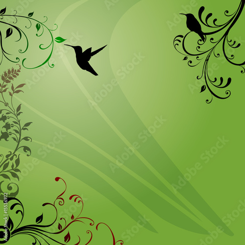 colibri