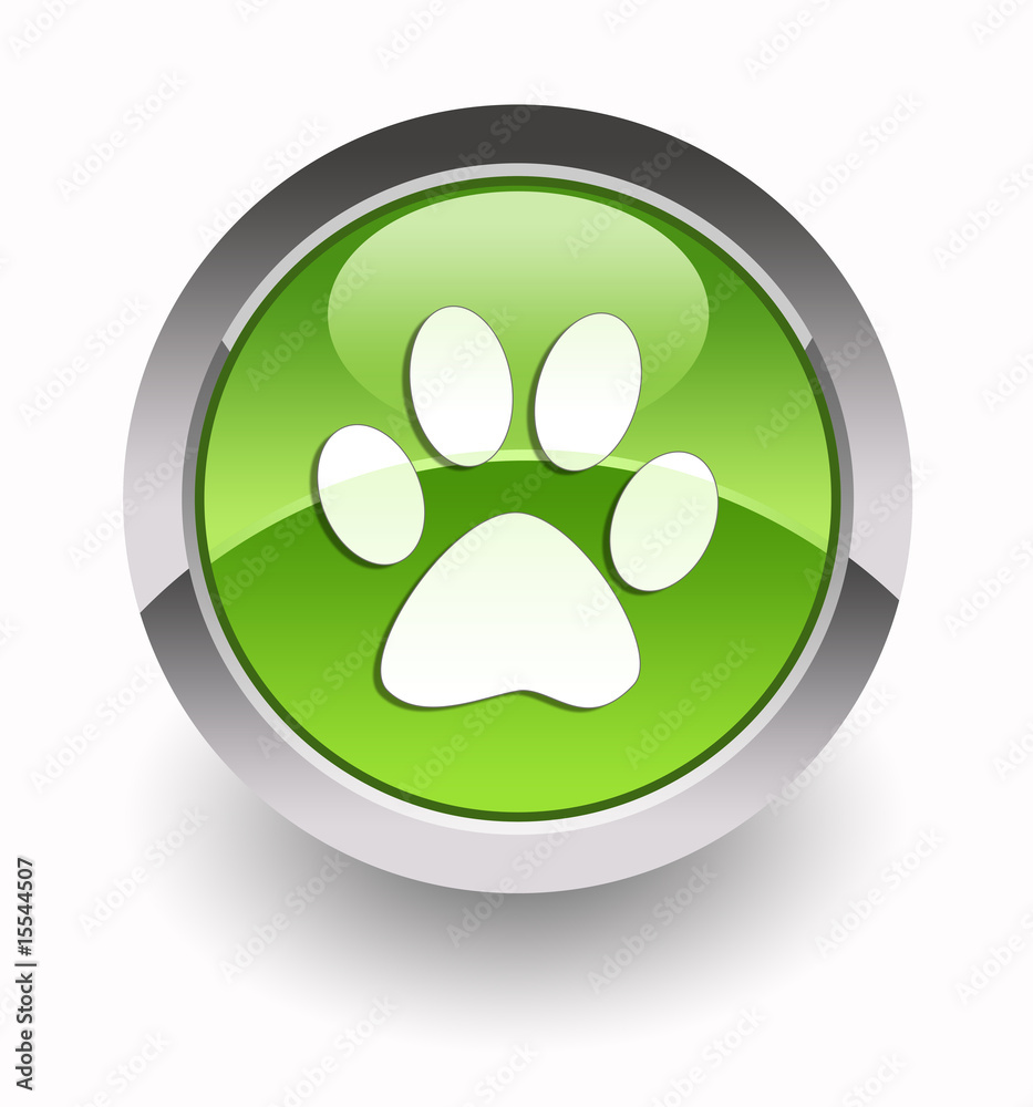 Animal footprint glossy icon