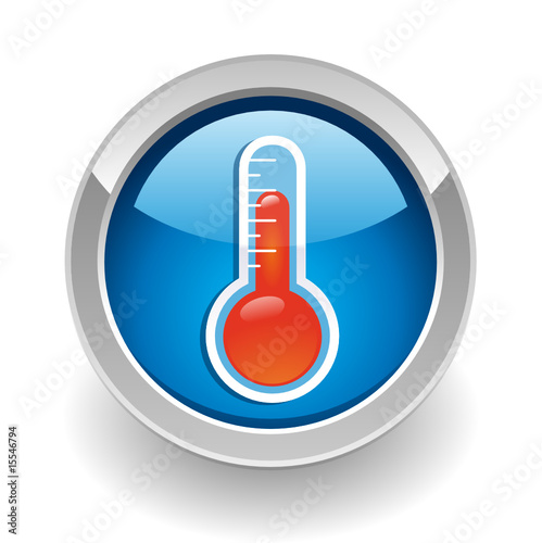 Thermostat or barometer button
