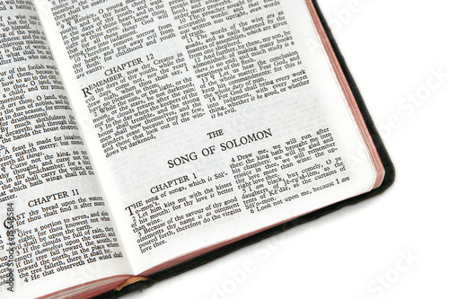 Εκτύπωση καμβά bible open to song of solomon