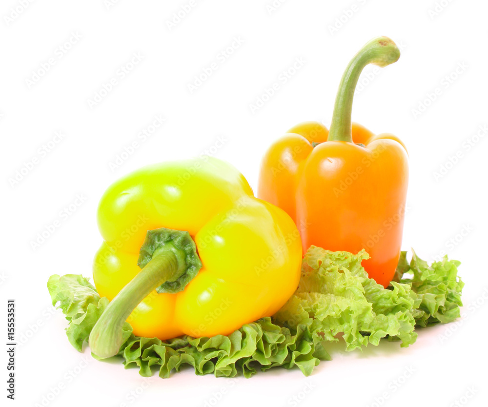 Two peppers on green salad isolated Two peppers on green salad isolated