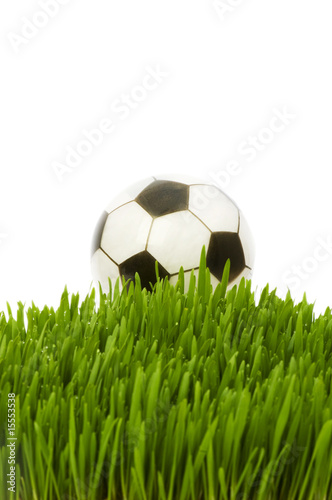 Sport concept - football on the green glass