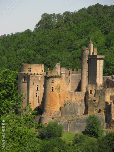 Château de Bonaguil photo