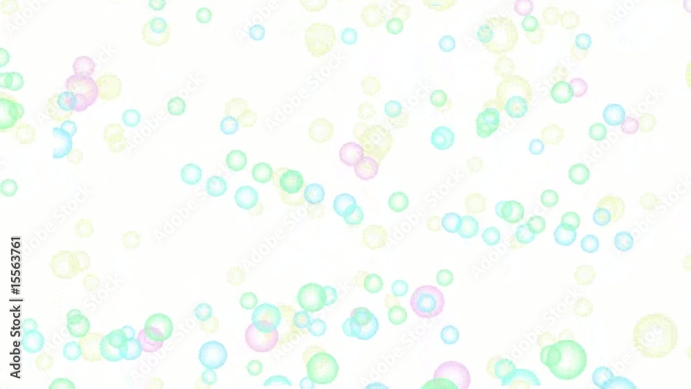 bolhas