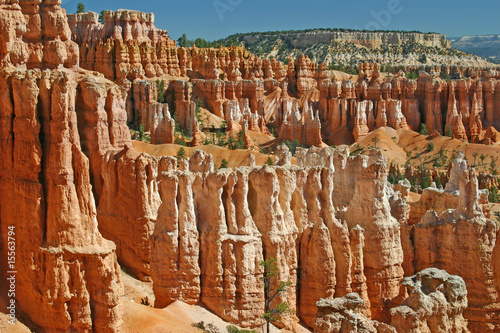 Bryce Canyon 5 photo