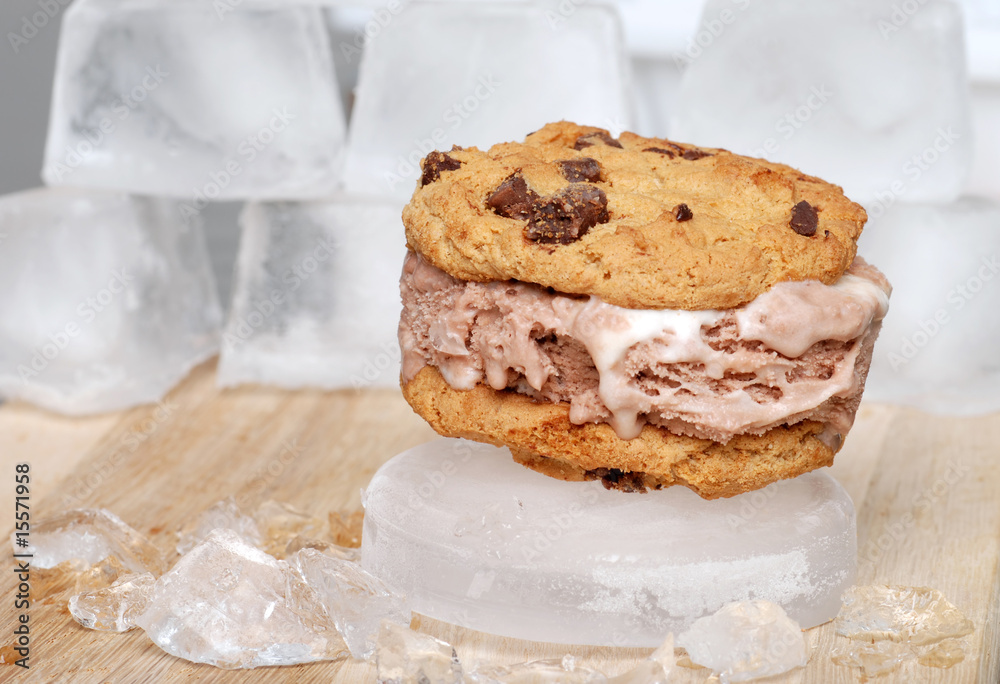 chocolate chip ice cream sandwich chocolate chip ice cream sandwich