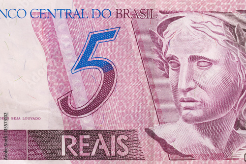 Brazilian Money photo