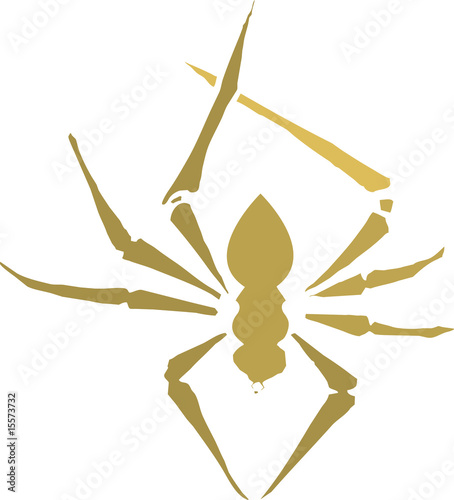 Spider Silhouette