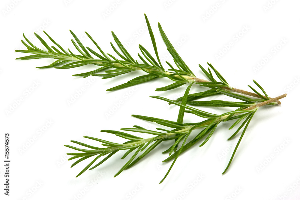 Rosemary sprig