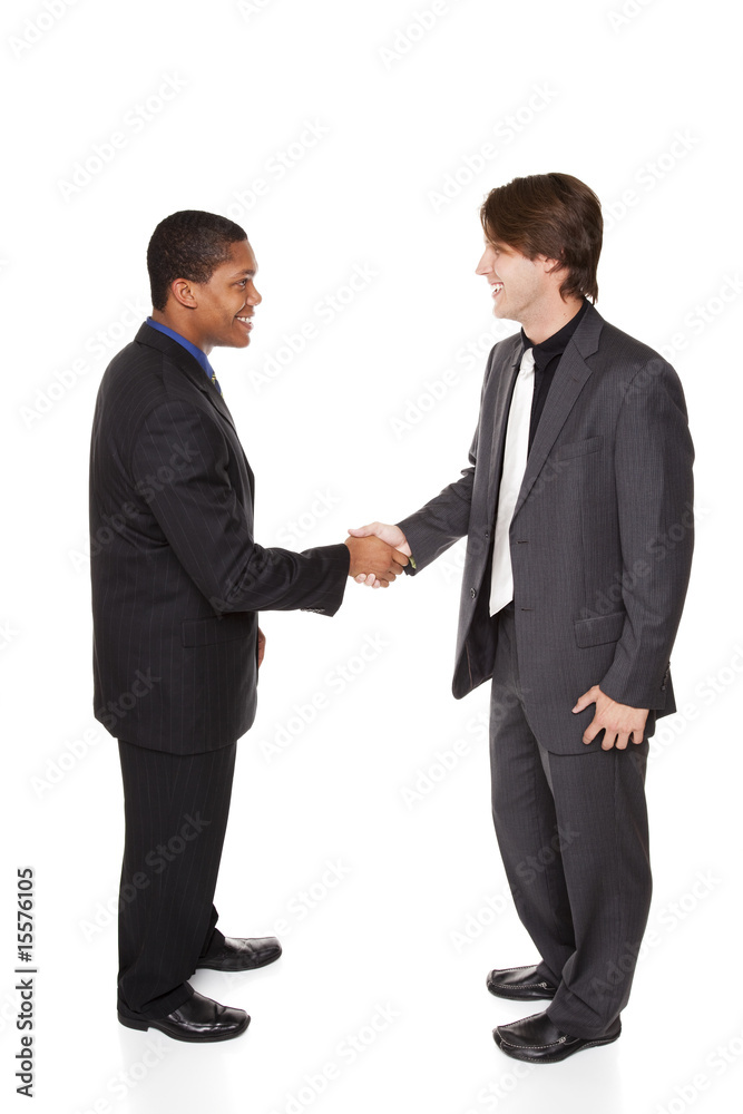 businesspeople - handshake greeting