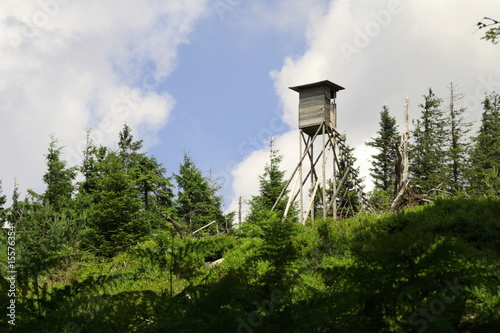 Bild auf Leinwand Hochsitz Schwarzwald
