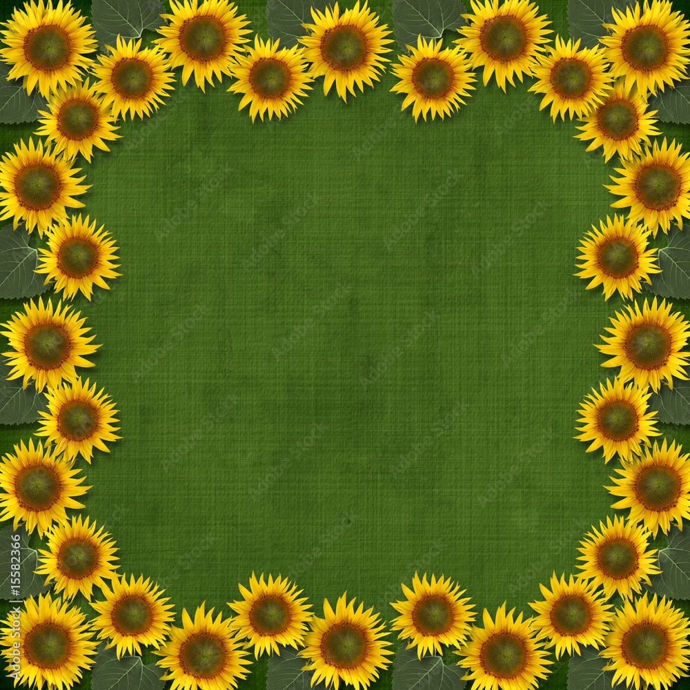 Grunge paint background for design with sunflowers Grunge paint background for design with sunflowers