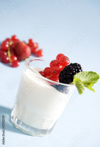 Yougurt with redcurrant and blackberries