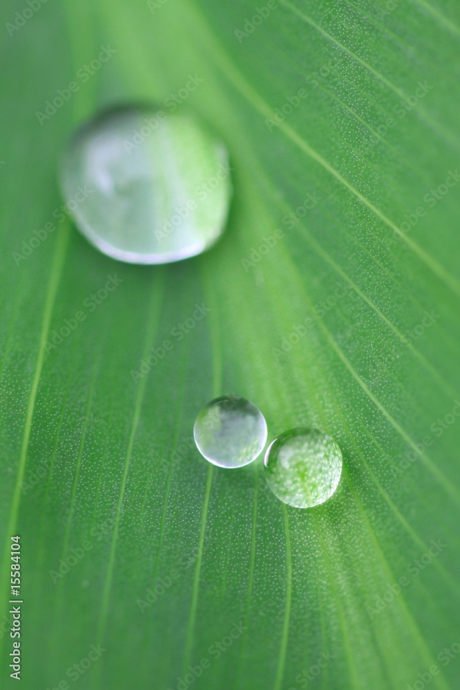 Wassertropfen Wassertropfen