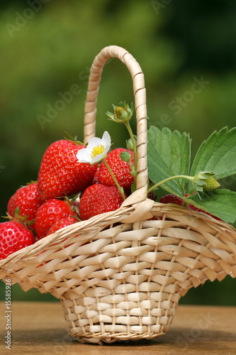 fraise dans le panier