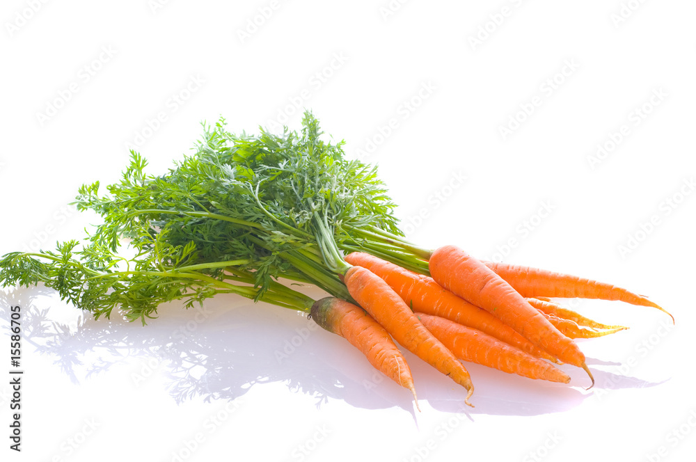 fresh carrot