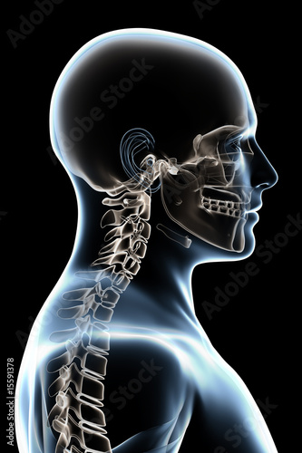 X-ray Anatomy on Black