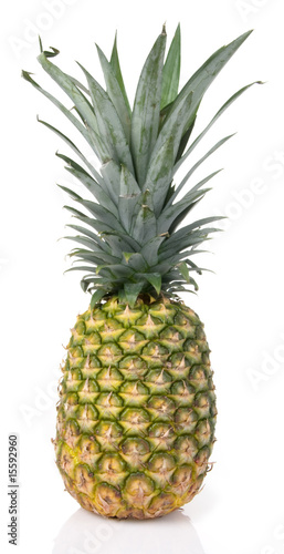 Fresh Hawaiian Pineapple © Edie Layland
