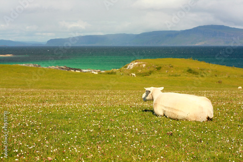 Fotografia, Obraz Iona, Scottish island