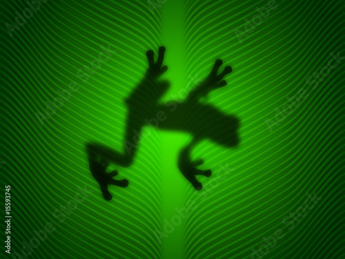 Frog on a green leaf