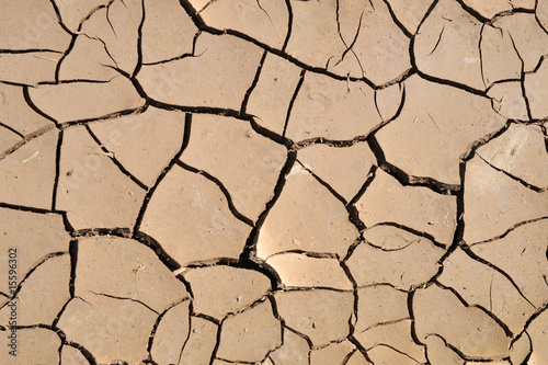 cracked mud