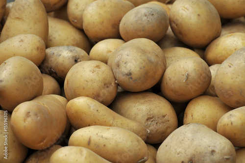 potatoes background