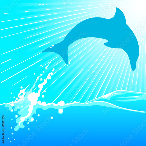 dolphin