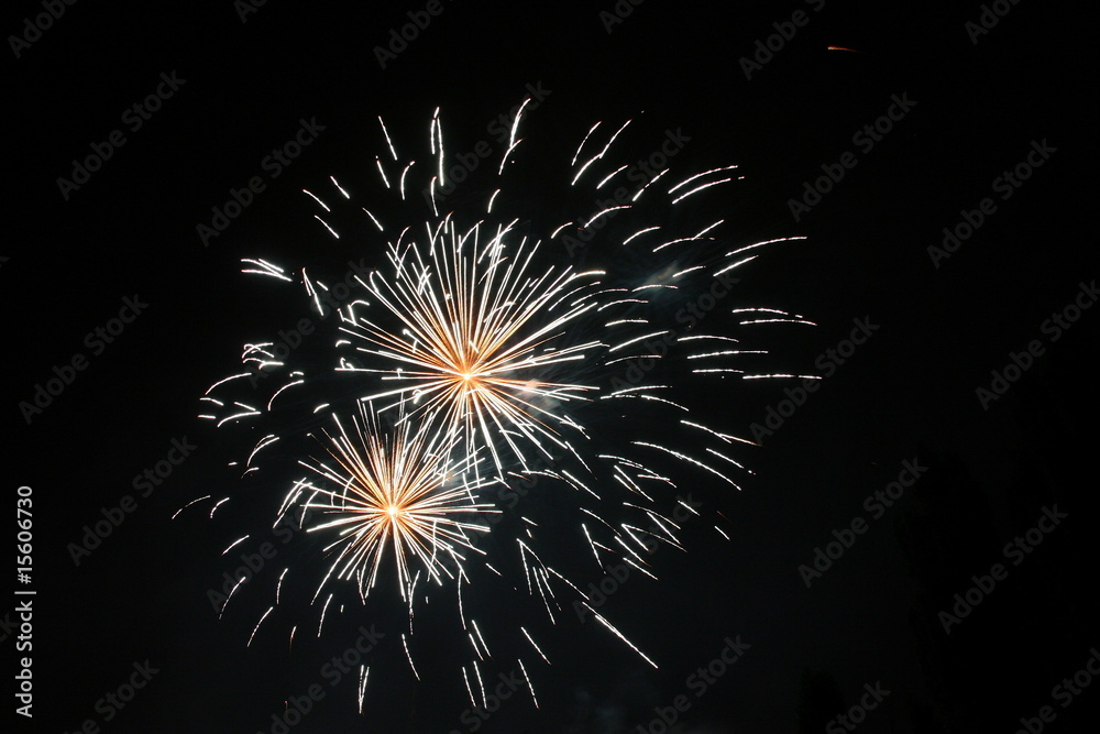 Fototapeta premium Feux d'artifice