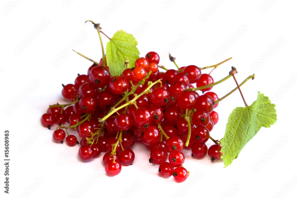 Red currants Red currants