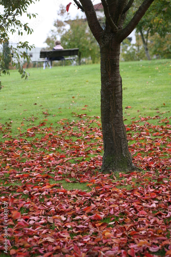 Herbst Herbst