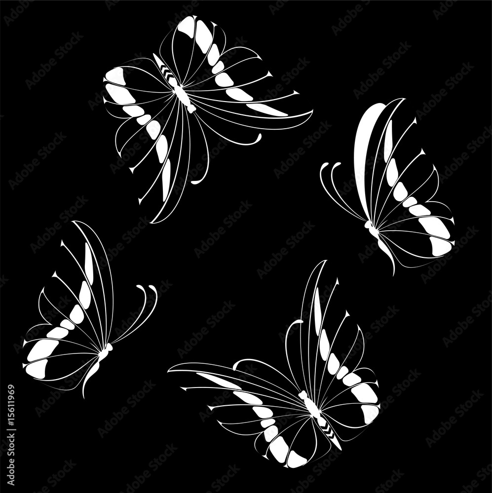 Beautiful butterfly Beautiful butterfly