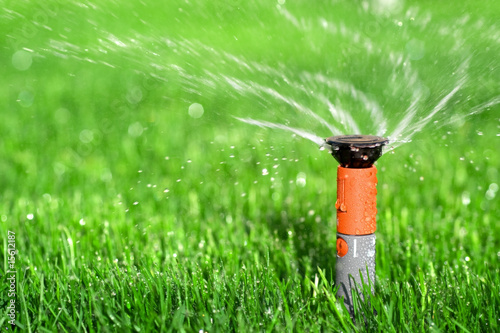 Lawn Sprinkler