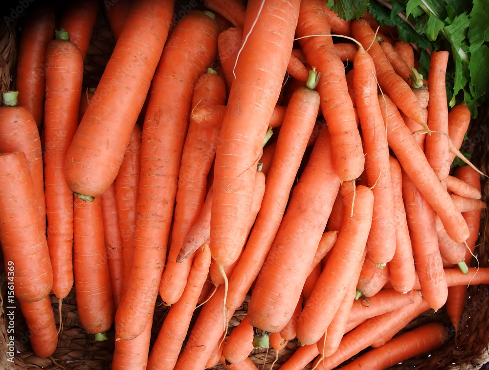 Display of Fresh Organic Carrots at Farmers Market Display of Fresh Organic Carrots at Farmers Market