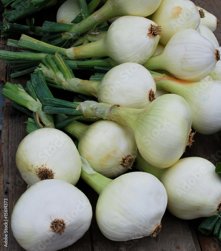Pile of Fresh Organic White Onions at Produce Market