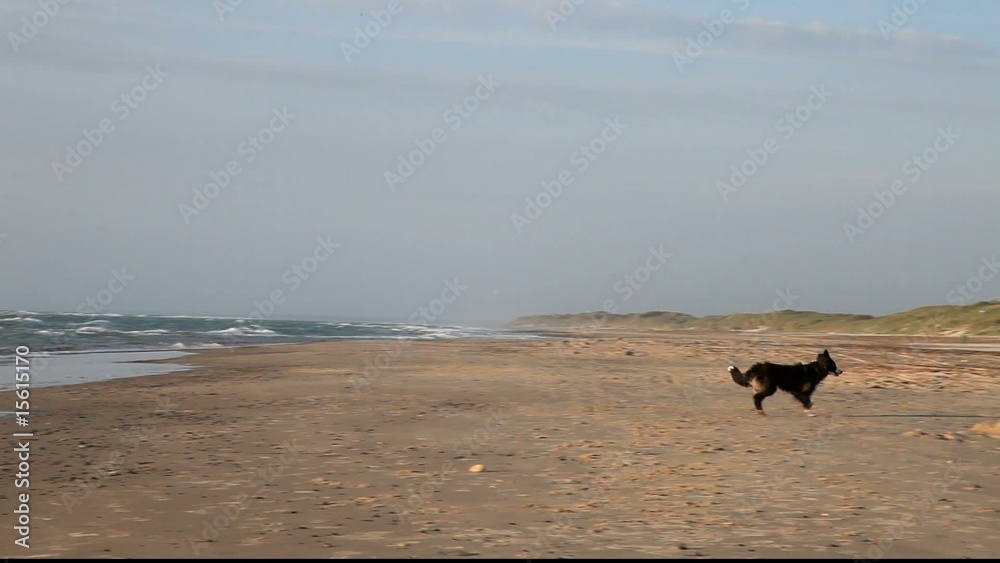 Boder am Strand