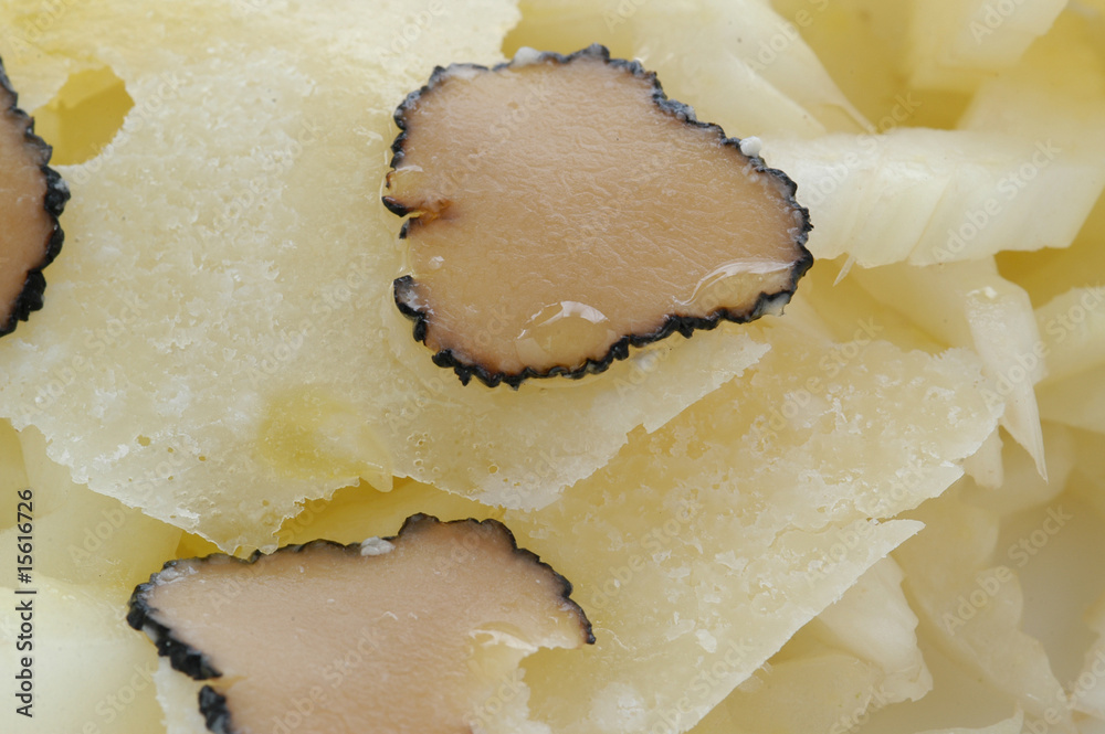 Sedano bianco al tartufo e formaggio grana - Antipasti E.R. Sedano bianco al tartufo e formaggio grana - Antipasti E.R.
