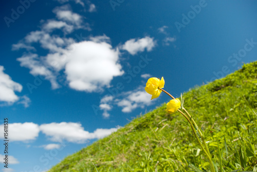 Fotografía Beautiful Green Meadow with white clouds