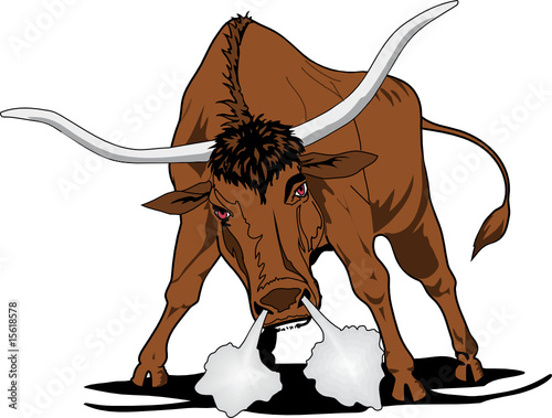 bull in anger, vector illustration
