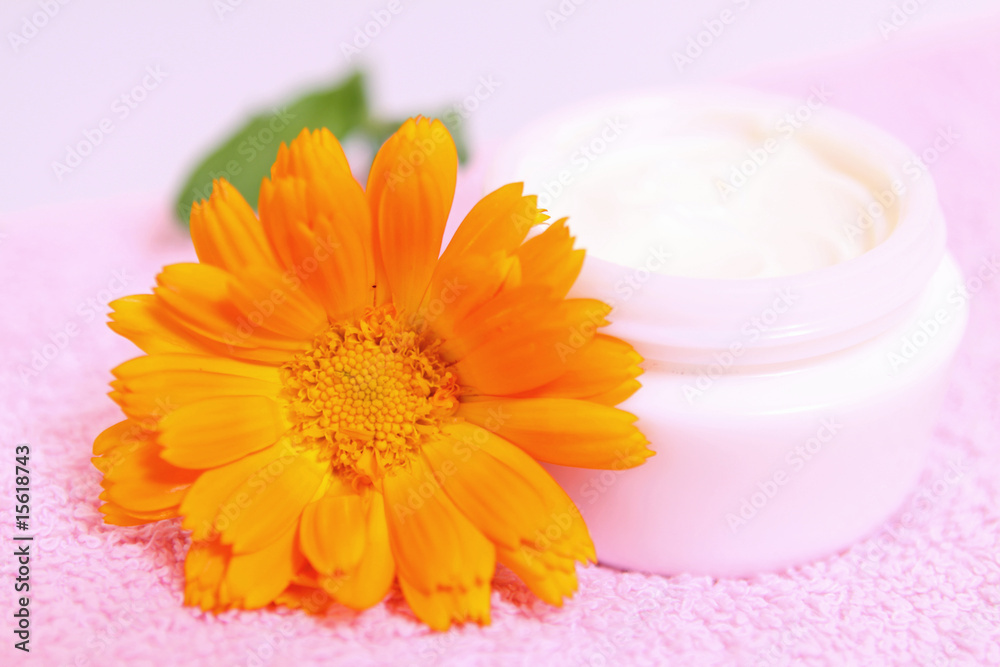 gesichtscreme, calendula gesichtscreme, calendula