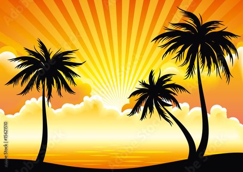 Vector sunset coastline