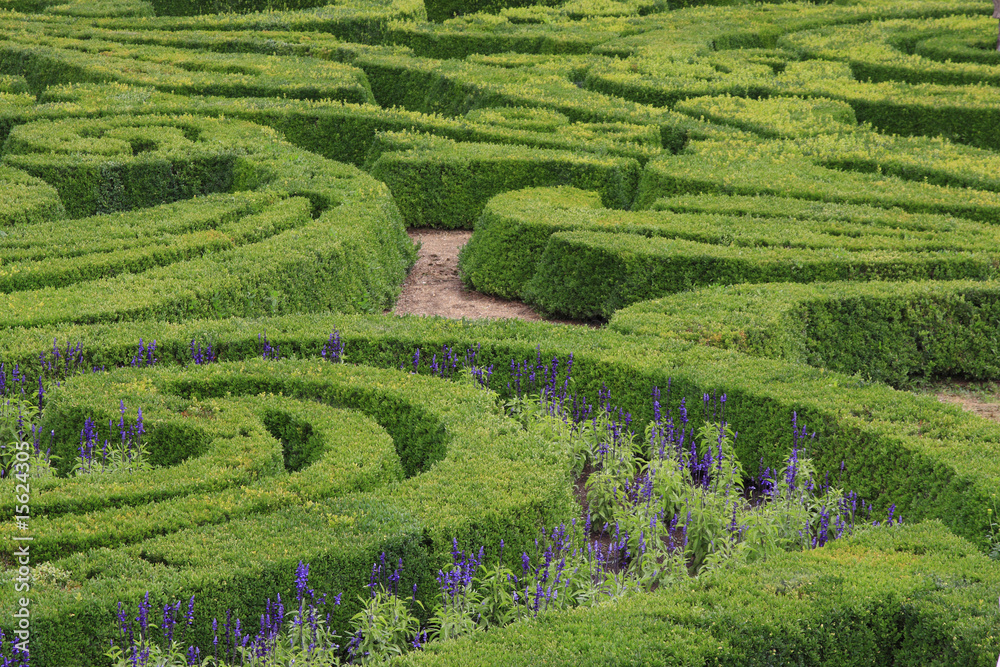 Green maze