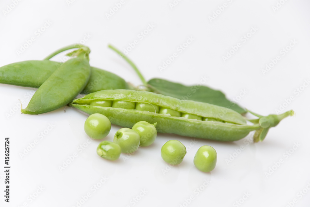 freshly picked green garden peas with stalk and leaves freshly picked green garden peas with stalk and leaves