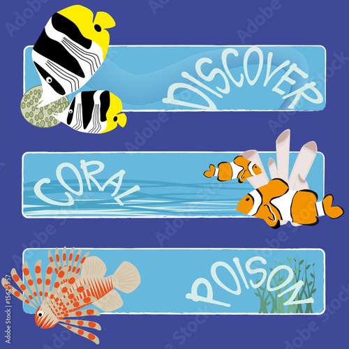 fish banners 3