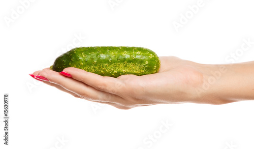 human hand holding green cucumber