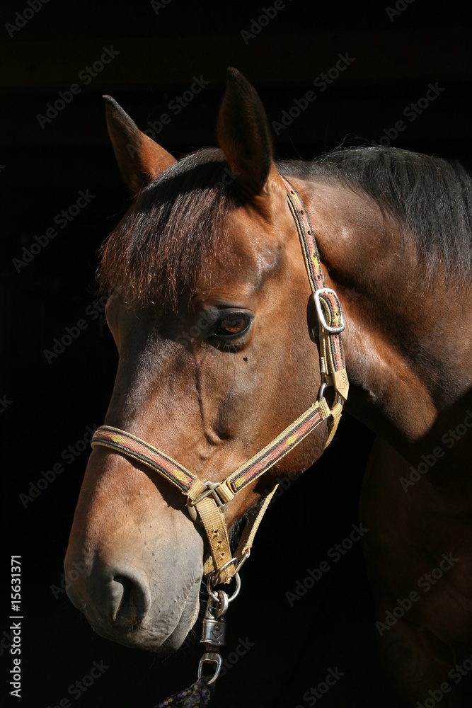 Obraz premium Cień i światło