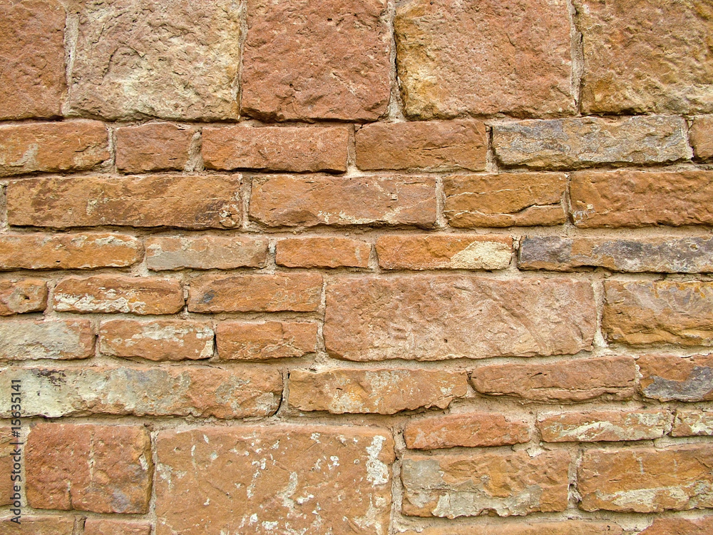 Fototapeta premium Bricks wall