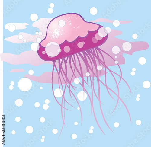 jellyfish