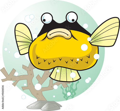 fish and coral