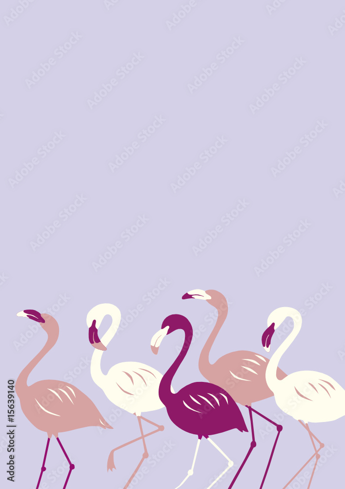 Fototapeta premium flaming