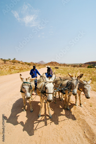 Eselskutsche in Namibia © Jan-Dirk